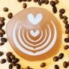 Creamy Tulip x 4 PCs Pack